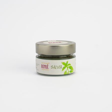Salvia